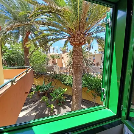 With Fast Wifi 코라레호